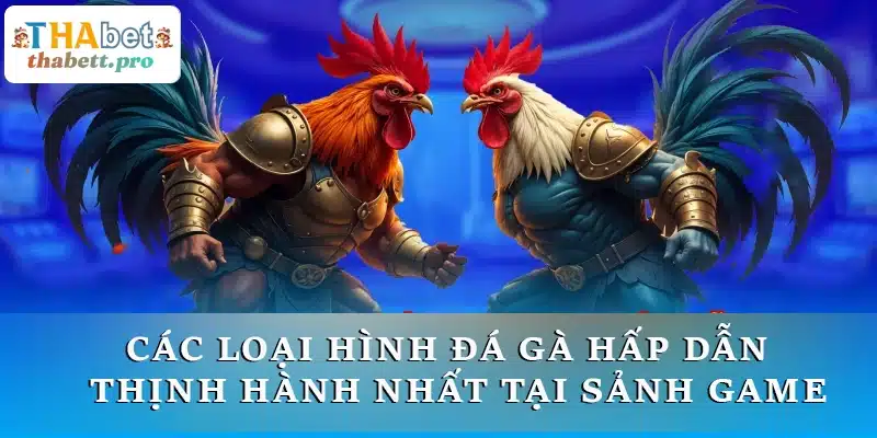 Các loại hình đá gà hấp dẫn và thịnh hành nhất tại sảnh game