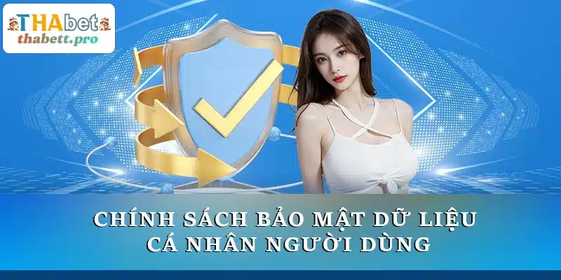 Chính sách bảo mật dữ liệu cá nhân người dùng