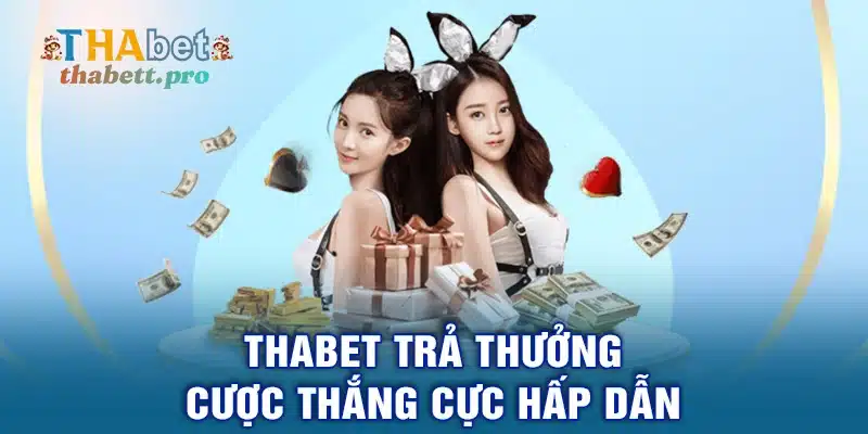 THABET trả thưởng cược thắng cực hấp dẫn